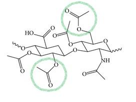 Công thức cấu tạo phân tử Natri Acetylat Hyaluronate