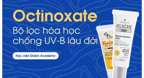 thành phần Octinoxate