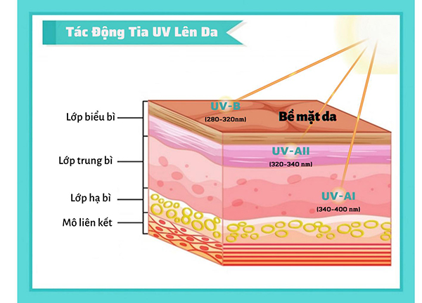 Khả năng xâm nhập của các loại tia UV qua da