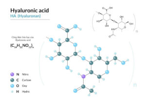 Cấu trúc hóa học của phân tử Hyaluronic acid
