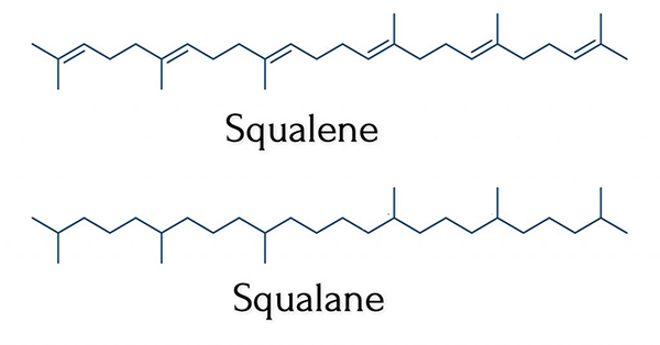 Cấu trúc phân tử Squalene và squalane