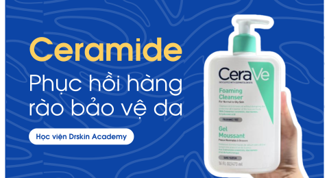 thành phần Ceramide