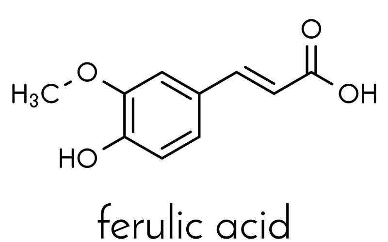 Công thức cấu tạo của thành phần Axit ferulic