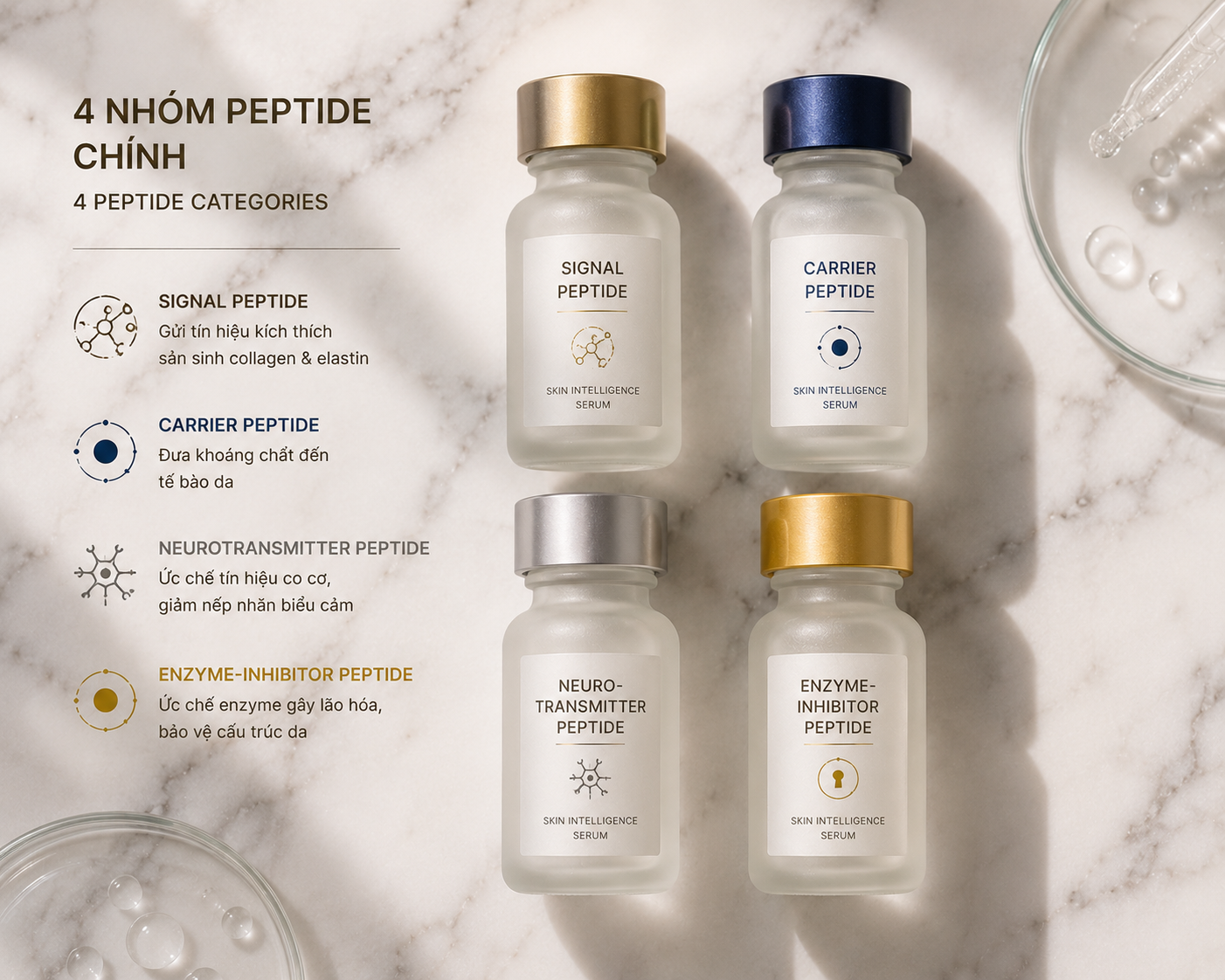 4 nhóm Peptide chính trong skincare